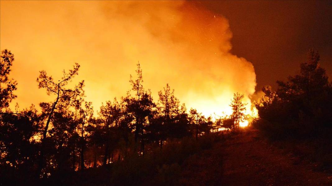 İzmir’in Menderes ilçesinde orman yangını! Alevler kontrol altına alınmaya çalışılıyor 8